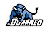 Buffalo Bulls.jpg